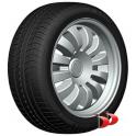 Double Coin 225/45 R17 94W XL DC100 DC