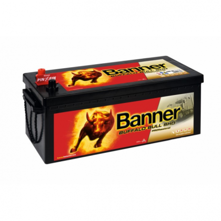 Banner Buffalo bull shd pro 68008 180 AH 1000 EN
