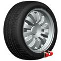 Padangos Double Coin 245/40 R18 97W XL DC100 DC