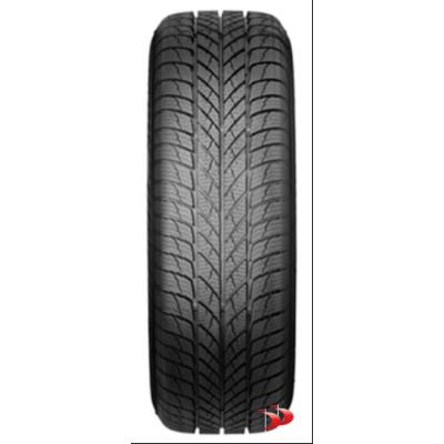 Paxaro 235/55 R18 104V XL Inverno padangos