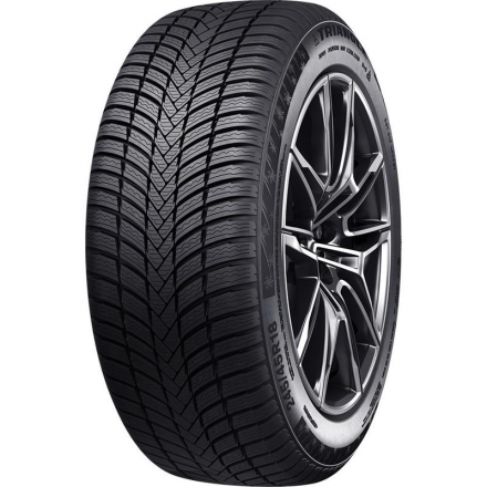 Triangle 225/40 R18 92V XL Effexwinter TW421